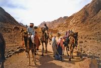 St. Catherine Monastery below Mt. Sinai